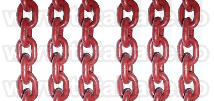 Lanturi ridicare cu accesorii grad 100 Total Race, Tulcea - Tulcea - imagine 3 - popic.ro