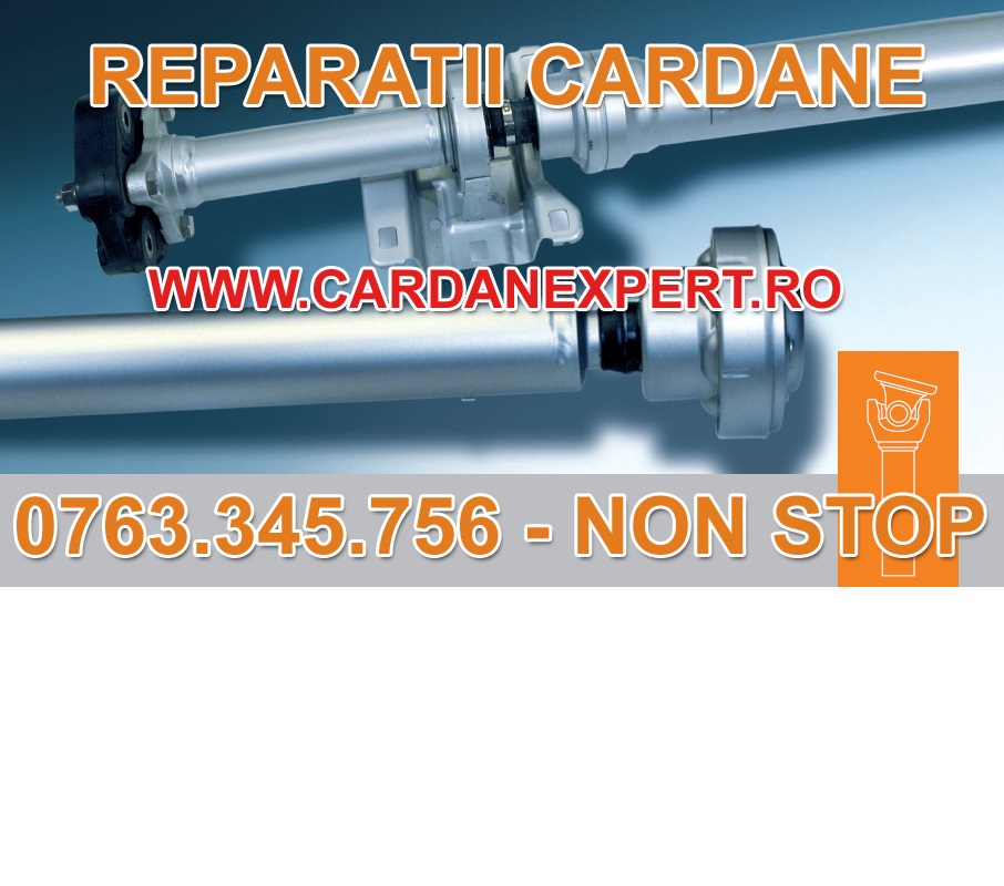 Reparatie Cardan DAF CF,LF,XF, Sector 3 - Bucuresti - imagine 1 - popic.ro