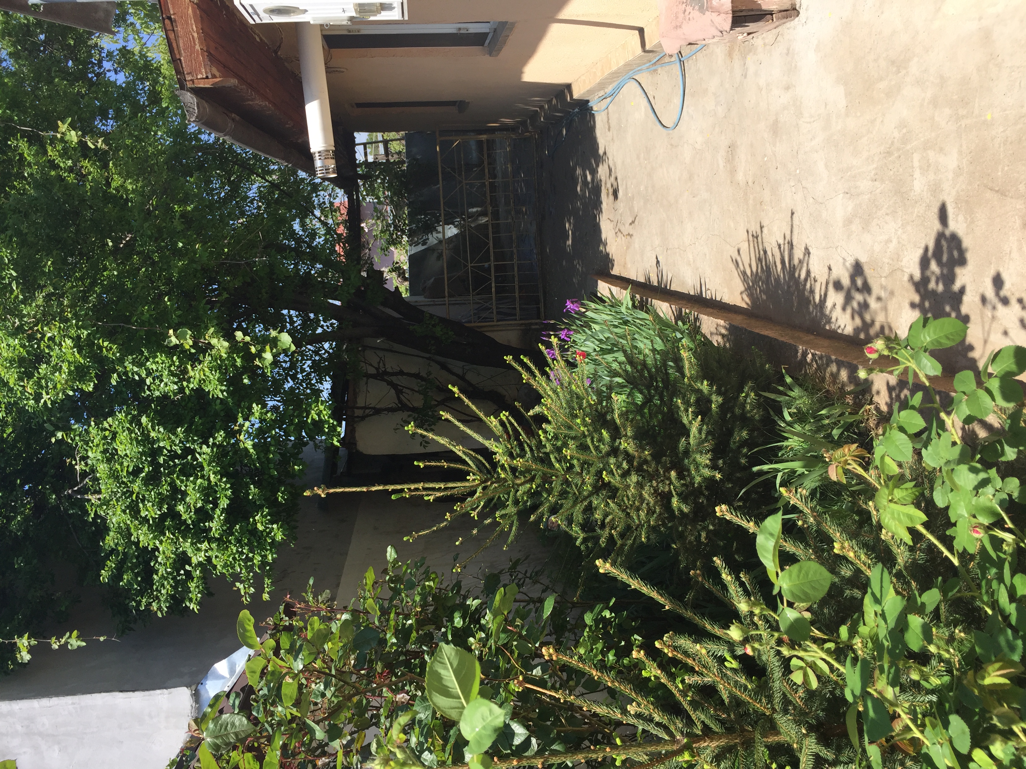 Vand urgent casa in oras Pantelimon Ilfov, Sector 2 - Bucuresti - imagine 4 - popic.ro