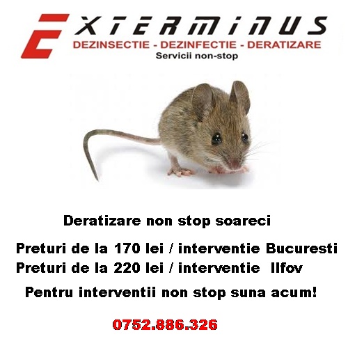 Deratizare#Dezinsectie#Dezinfectie non stop, Sector 2 - Bucuresti - imagine 1 - popic.ro