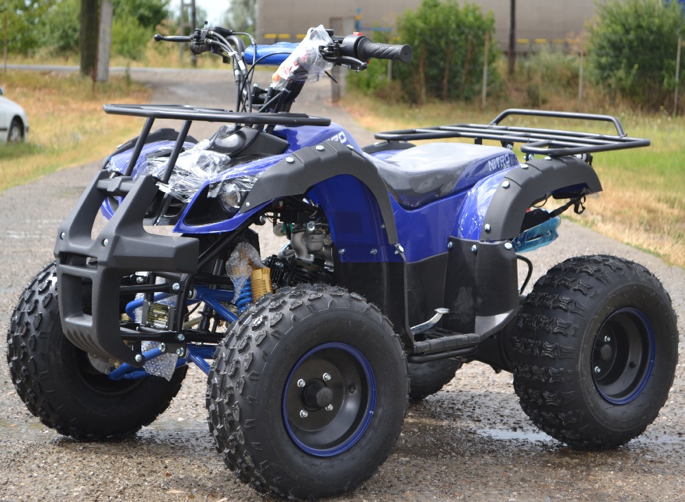 ATV GRIZZLY XXL, M8, Iași - Iasi - imagine 1 - popic.ro