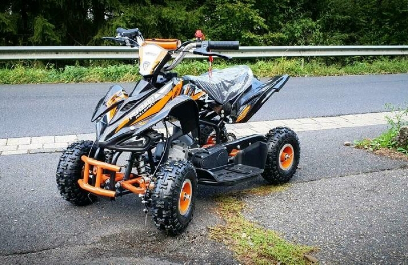 ATV Python OffRoad Deluxe E-Start, Oradea - Bihor - imagine 1 - popic.ro