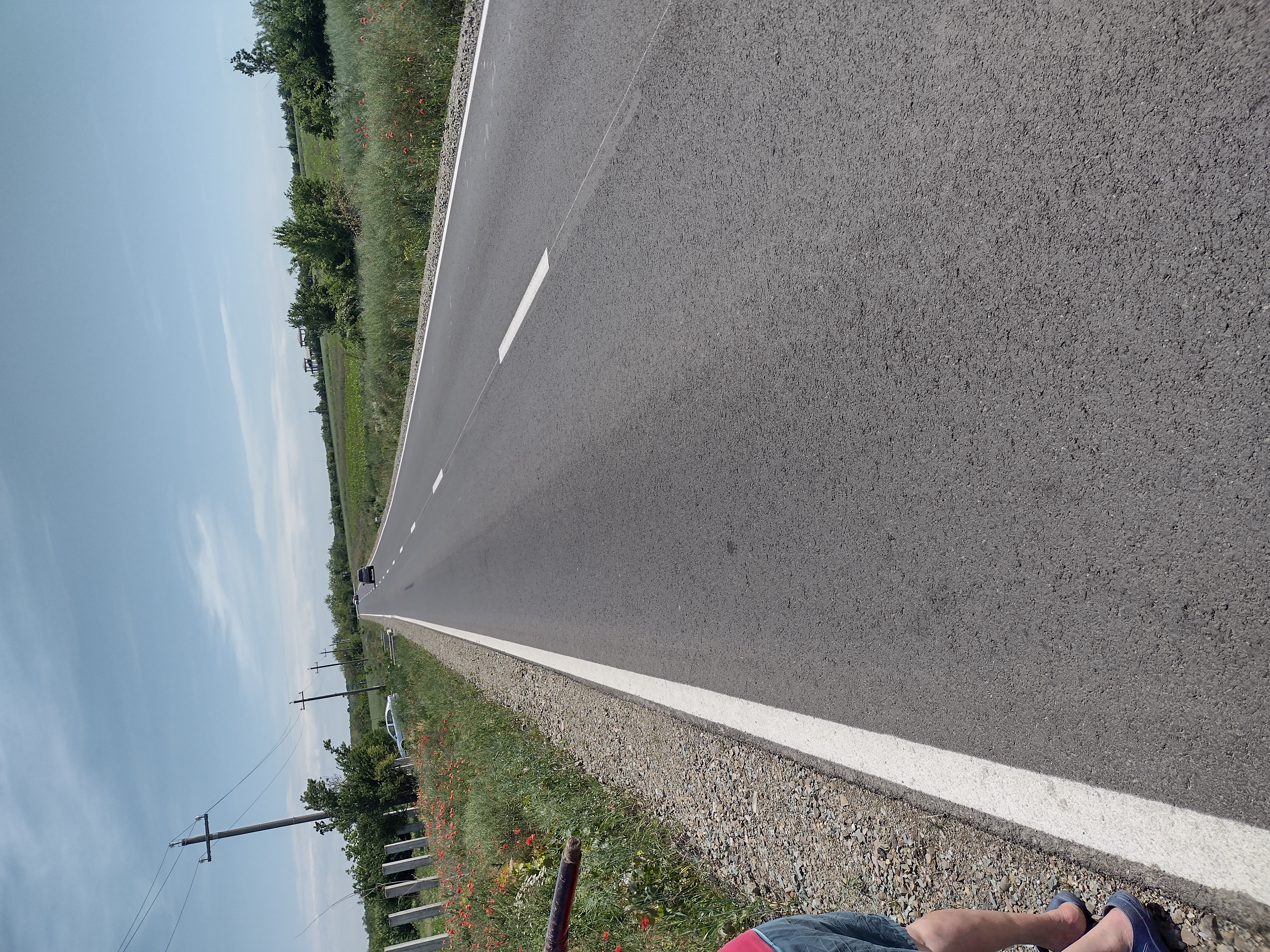 Teren Caldarusani Gradistea intravilan 12000mp, Grădiștea - Ilfov - imagine 2 - popic.ro