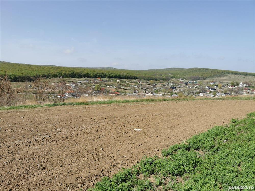 Teren Intravilan Stancesti, Botoșani - Botosani - imagine 2 - popic.ro
