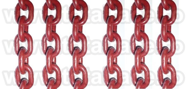 Lanturi ridicare grad 100 Total Race, Sibiu - Sibiu - imagine 4 - popic.ro