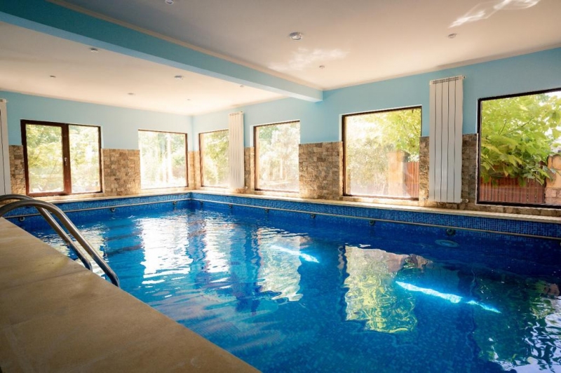 Vila Lux cu Piscina si Iaz Buhusi, Bacău - Bacau - imagine 2 - popic.ro