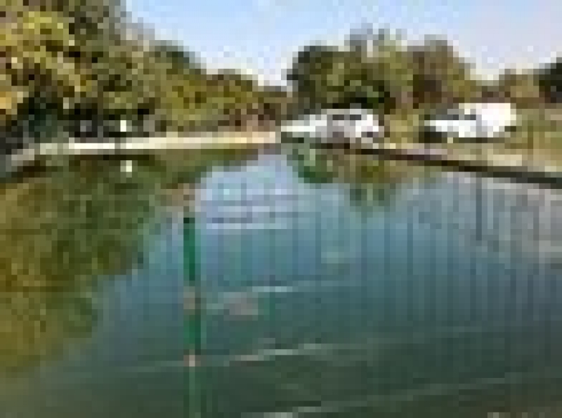 Vand microferma viticola si vin diverse soiuri, Buzău - Buzau - imagine 1 - popic.ro