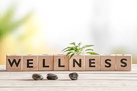 Servicii de relaxare wellness luxury spa doamnelor mature sau mai in v, Breaza - Prahova - imagine 1 - popic.ro
