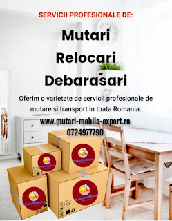 Relocari Firme si Transport Mobila – ExpertMove Este Solutia Ta!, Sector 5 - Bucuresti - imagine 1 - popic.ro
