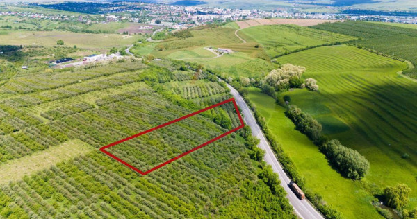 Teren Extravilan de 7200 mp in Falticeni, Fălticeni - Suceava - imagine 1 - popic.ro