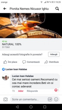 Vin Alb de Casa, Alba Iulia - Alba