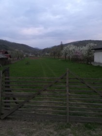 Terende vinzare sau inchiriat, Bârsana - Maramures