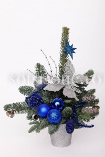 Aranjamente brad natural, Sector 1 - Bucuresti