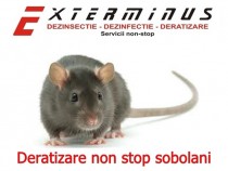 Deratizare non stop, Sector 1 - Bucuresti