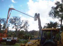 Servicii defrisare, toaletare si curatare, Mogoșoaia - Ilfov