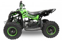 Atv Avenger Prime 49 Cc #Automata, Jimbolia - Timis