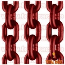 Lanturi industriale si dispozitive lant grad 100 Total Race, Sibiu - Sibiu