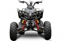 ! OFERTE SPECIALE DE PASTE ! Atv Nitro Motors Akp Warrior 250Cc, Bordei Verde - Braila