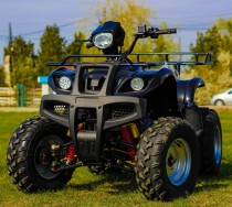 Atv AKP Grizzly M10, Craiova - Dolj