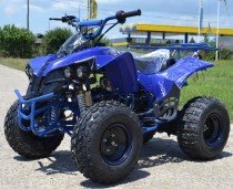 ATV WARRIOR M8, Botoșani - Botosani