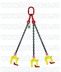 Dispozitive de lant cu clesti pentru transport, Iași-Gorj - Gorj