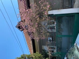 Bucuresti Floreasca VILA 4 Camere DIRECT PROPRIETAR, Sector 2 - Bucuresti