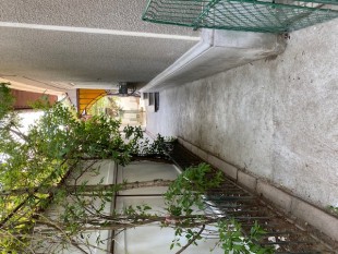 Bucuresti Floreasca VILA 4 Camere DIRECT PROPRIETAR, Sector 2 - Bucuresti