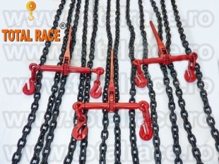 Lant de ancorare profesional, Sibiu - Sibiu