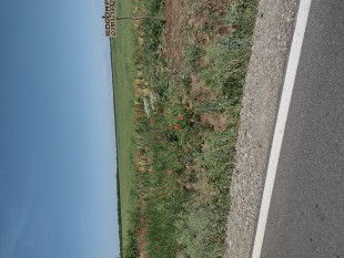 Teren Caldarusani Gradistea intravilan 12000mp, Grădiștea - Ilfov