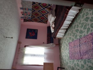 Vand casă cu grădină, Strejeștii de Sus - Olt