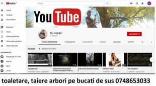 Toaletare / taiere arbori mari Ilfov Bucuresti cu si fara macara, Sector 1 - Bucuresti