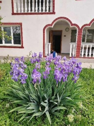 Închiriez casă cu 5 camere, Catamaresti-Deal, Cătămărești-Deal - Botosani