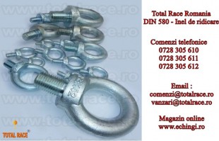 Inel de ridicat cu filet exterior DIN 580, Satu Mare - Arad