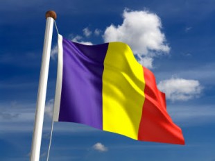 Curatenie subsol blocuri: servicii profesionale pentru asociatii de pr, Sector 1 - Bucuresti